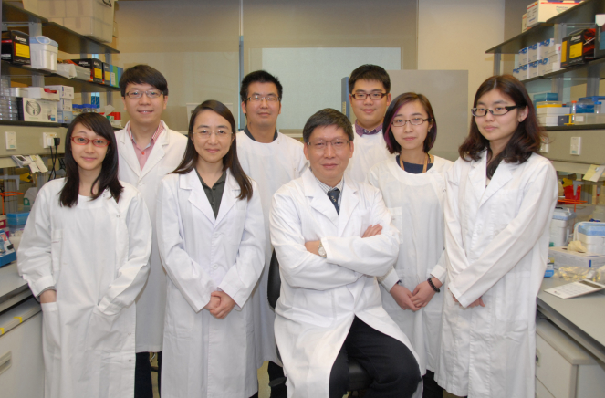 Professor Yi Guan (Middle in the front row), Daniel C K Yu Professor in Virology and Professor in the School of Public Health, Li Ka Shing Faculty of Medicine, HKU and his team find that the H7N9 viruses have diverged into three geographically distinct clades, with at least 48 different reassortant genotypes.